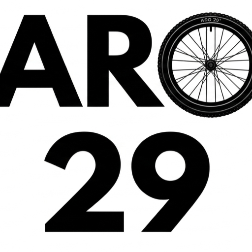 Aro29